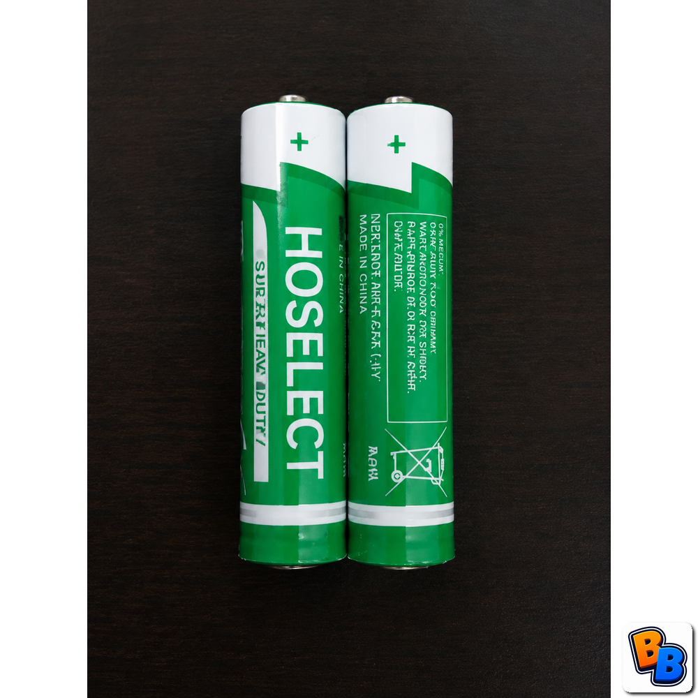 AAA Alkaline Batteries 2 pack